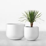  Set of White Base Decorative Pots Planter | AUFS019 