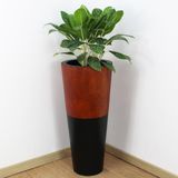  Wood Veener Trapedzoid Pots Planter | AUFS044 