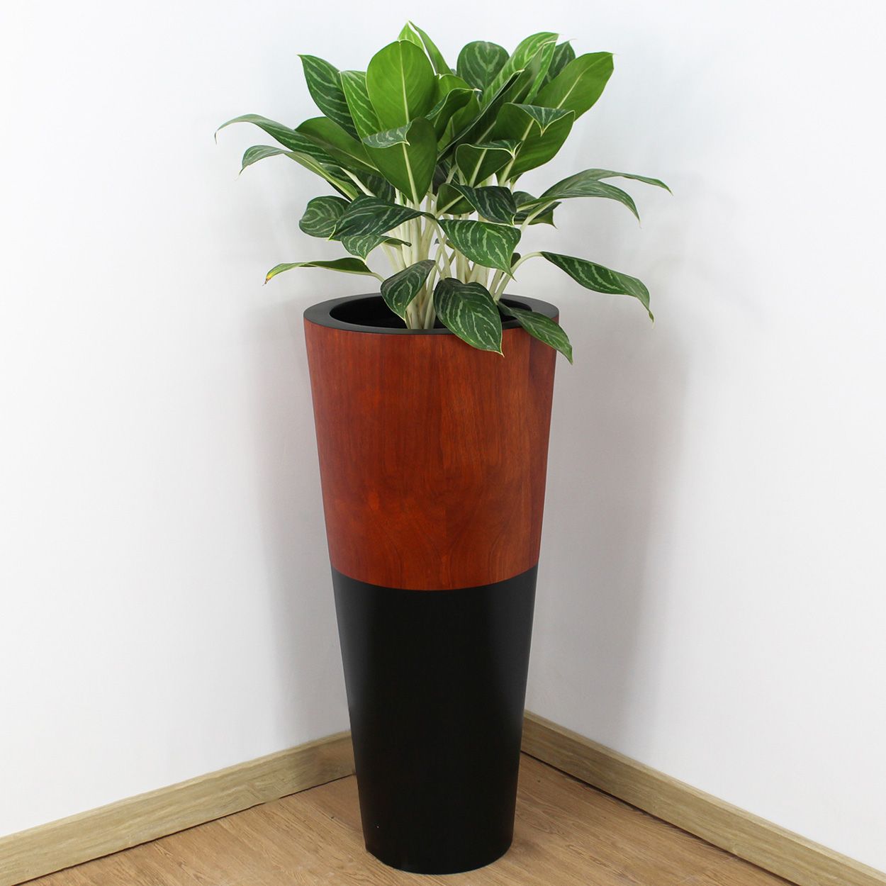  Wood Veener Trapedzoid Pots Planter | AUFS044 