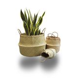  Woven Straw Storage Basket | AUW014 