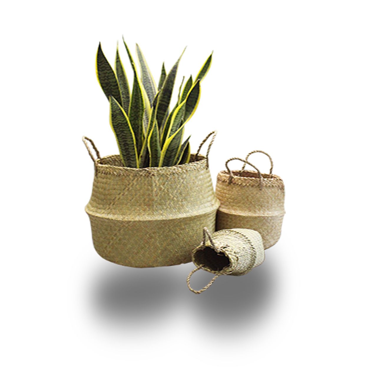  Woven Straw Storage Basket | AUW014 