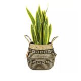  Woven Straw Storage Basket | AUW014 