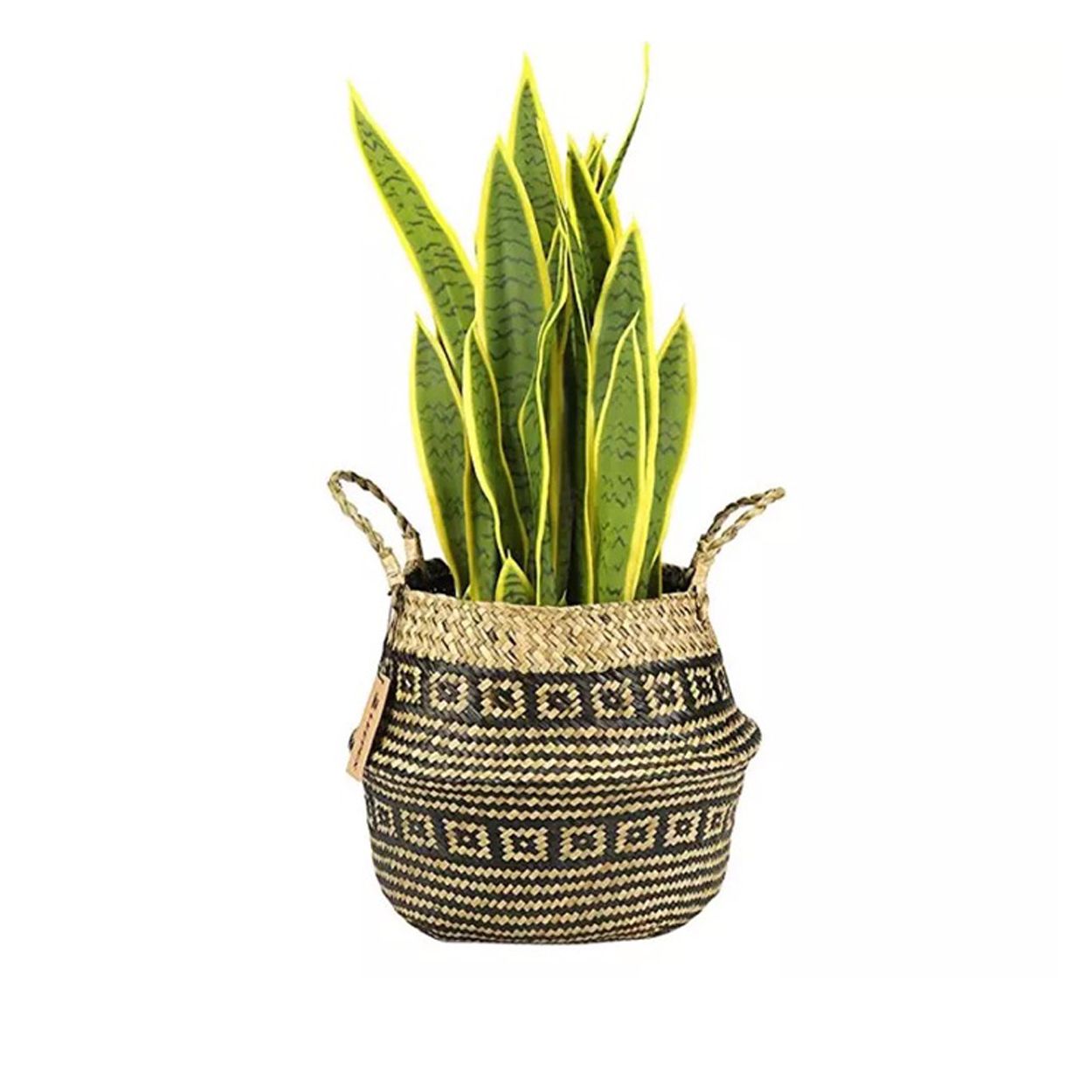  Woven Straw Storage Basket | AUW014 