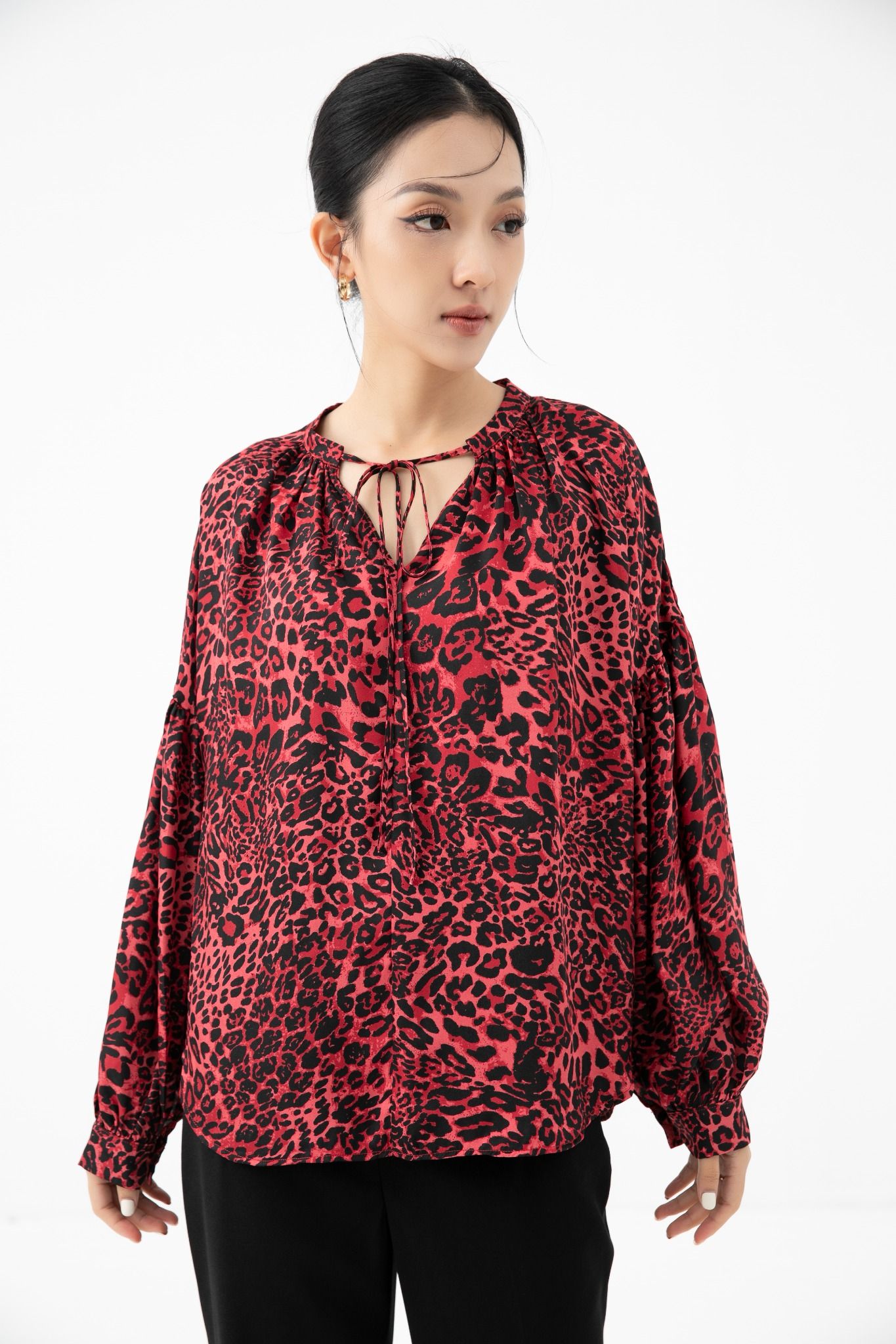 IVY moda