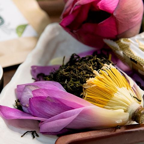  Búp trà sen Đầm Trị 