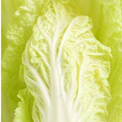 Cải Thảo Đà Lạt OrsaFood (1kg)