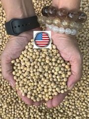 Orsafarm Đậu Nành Mỹ (USA Soy Bean) 500gram, 800gram, 1kg, 5kg – Đậu nành hạt, đậu nành có tác dụng gì? Đậu nành có tác dụng gì? đậu nành có tốt cho người tiểu đường? Đậu nành Mỹ loại 1 hạt đậu nành Mỹ