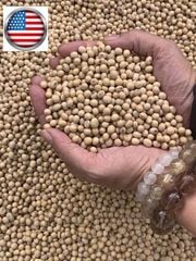 Orsafarm Đậu Nành Mỹ (USA Soy Bean) 500gram, 800gram, 1kg, 5kg – Đậu nành hạt, đậu nành có tác dụng gì? Đậu nành có tác dụng gì? đậu nành có tốt cho người tiểu đường? Đậu nành Mỹ loại 1 hạt đậu nành Mỹ