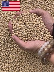 Orsafarm Đậu Nành Mỹ (USA Soy Bean) 500gram, 800gram, 1kg, 5kg – Đậu nành hạt, đậu nành có tác dụng gì? Đậu nành có tác dụng gì? đậu nành có tốt cho người tiểu đường? Đậu nành Mỹ loại 1 hạt đậu nành Mỹ