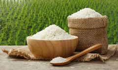 Orsafarm gạo tấm Thơm 5kg 10kg dùng cơm tấm sườn bì hoặc cháo sườn cho bé