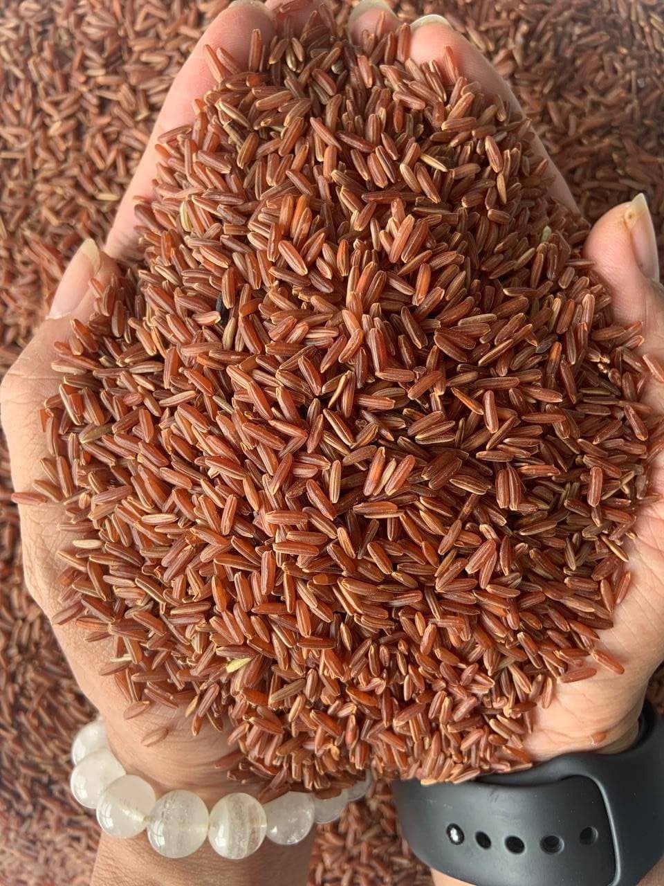 Gạo Lứt Nhuộm Màu Xu Hướng Mới Trong Ngành Thực Phẩm