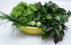 Orsafood Đặc Sản Mắm Ruốc - Mắm Orsafood Mặn Chế Biến  – Orsafood Mắm Cái # mắm ruốc huế # mắm ruốc xào thịt # mắm ruốc chấm xoài # mắm ruốc xào sả ớt # mắm ruốc ăn với gì # mắm ruốc ăn sống được không