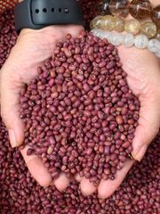 Orsafarm Đậu đỏ Tây Nguyên (hạt nhỏ) 500gram, 800gram, 1kg, 5kg – Đậu đỏ ăn có tác dụng gì? đậu đỏ có tốt cho người tiểu đường? Đậu đỏ và gạo lức có tác dụng gì?