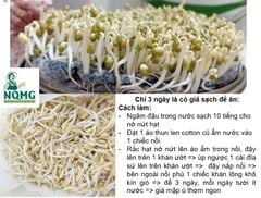 Orsafarm Đậu xanh Tây Nguyên làm giá đỗ 500gram, 800gram, 1kg, 5kg – Đậu xanh có tác dụng gì? đậu xanh có tốt cho người tiểu đường? Đậu xanh có mát không?