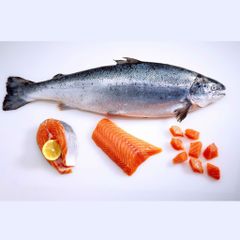 Cá Hồi Tươi Nauy Nguyên Con Size 5-6kg/con OrSaFood (kg)