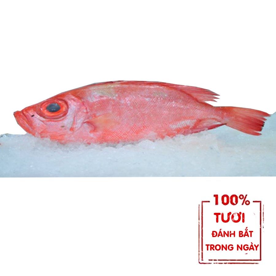  Cá Bã Trầu - 500gr 