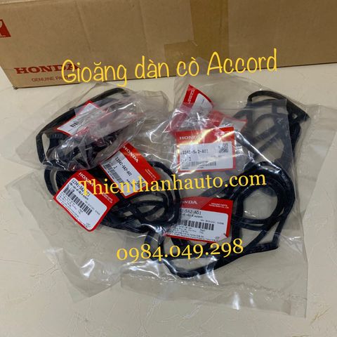 gioang-nap-dan-co-honda-accord