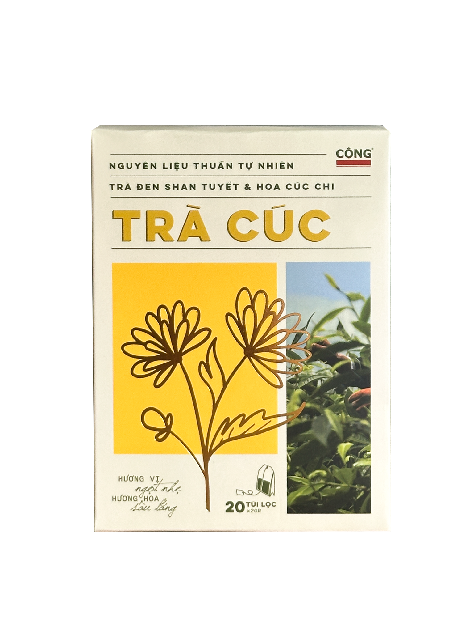  Trà Cúc Túi Lọc 