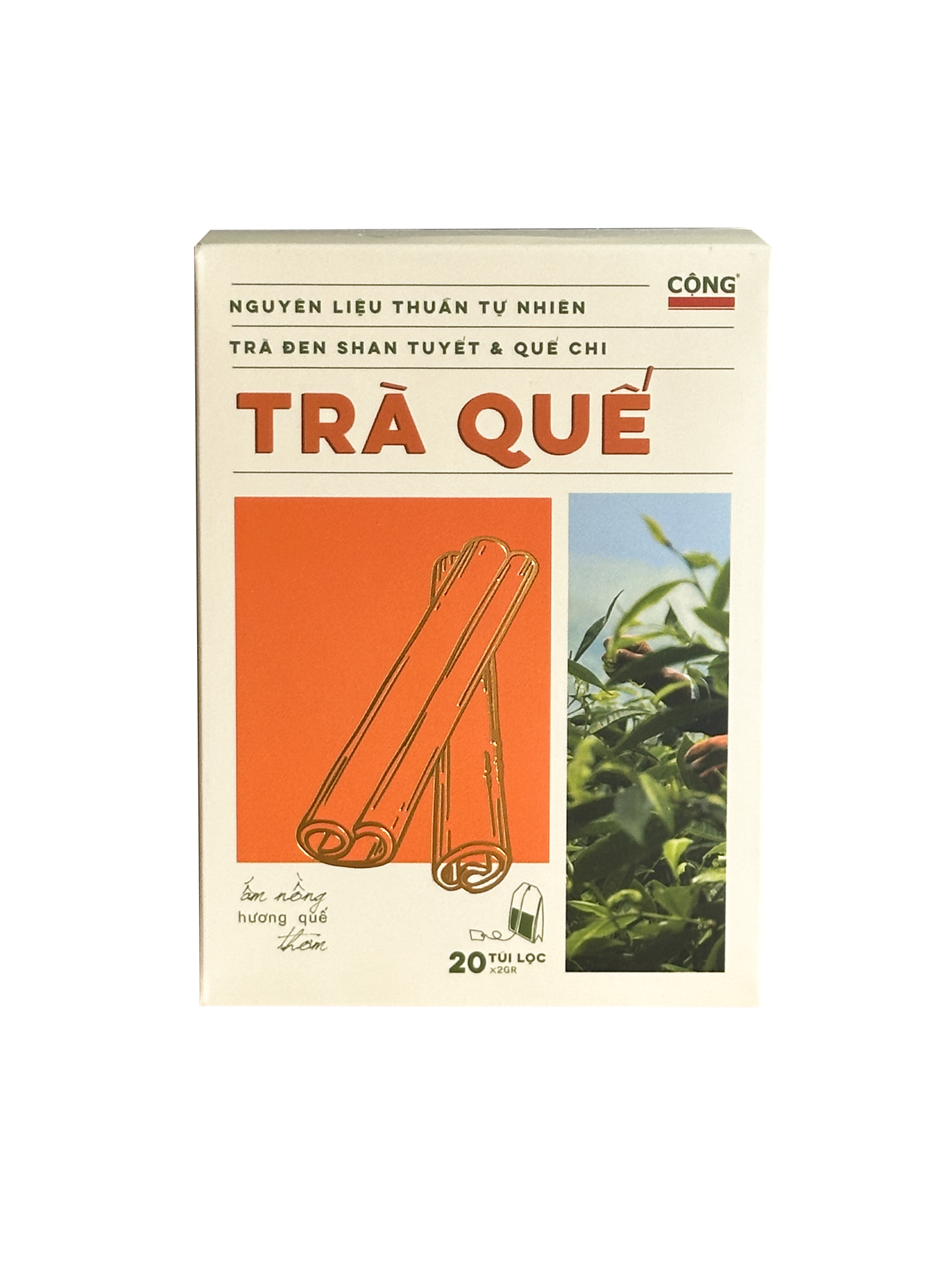  Trà Quế Túi Lọc 