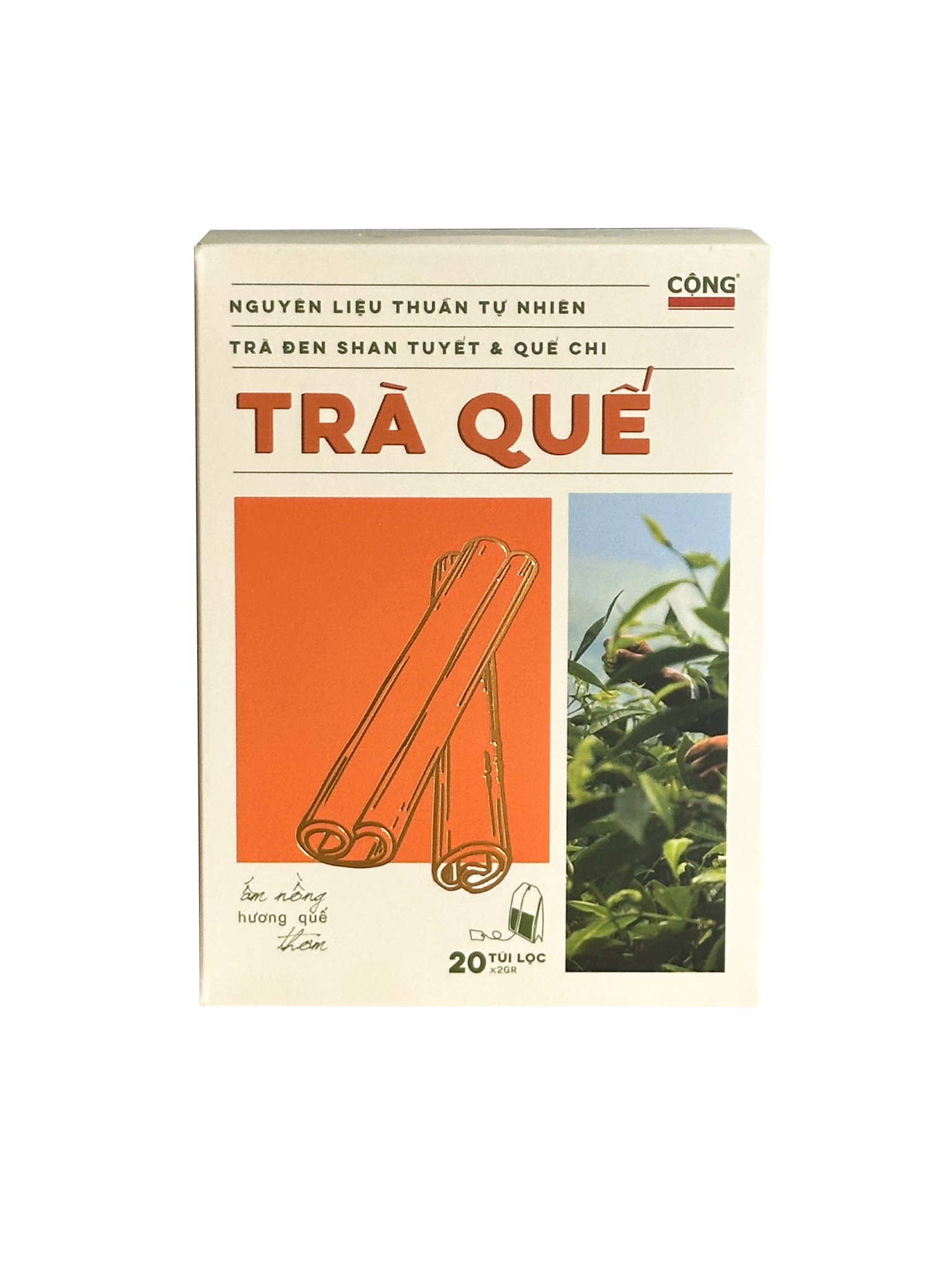  Trà Quế Túi Lọc 