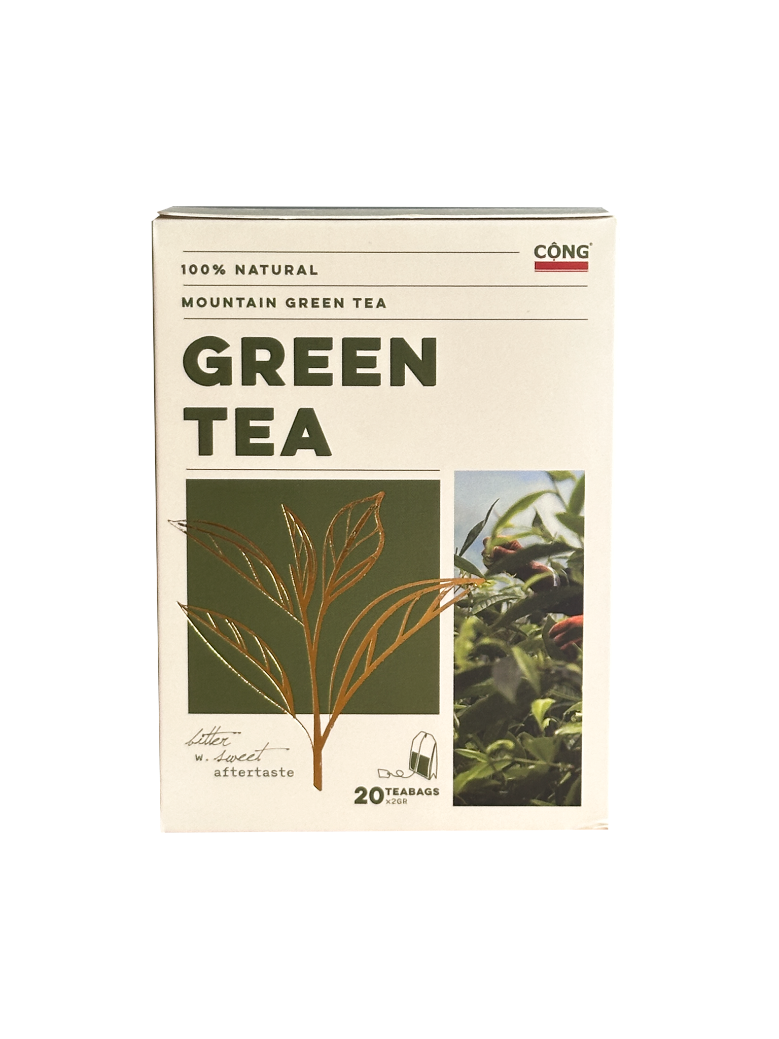  Trà Xanh Túi Lọc 