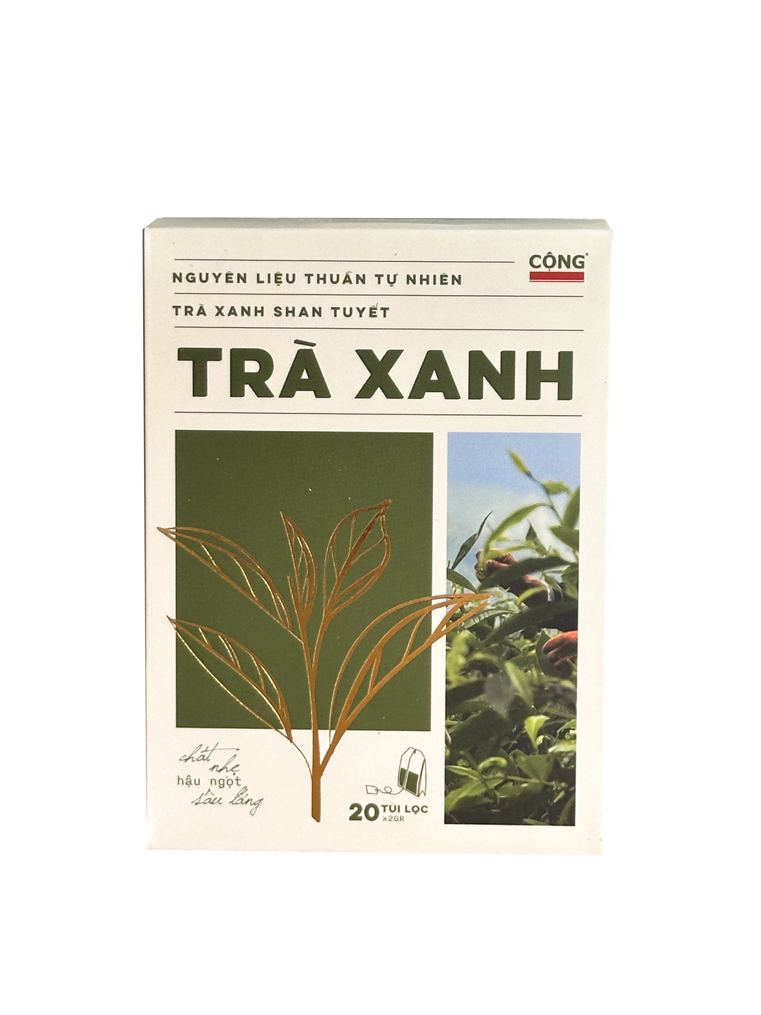  Trà Xanh Túi Lọc 