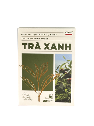  Trà Xanh Túi Lọc 