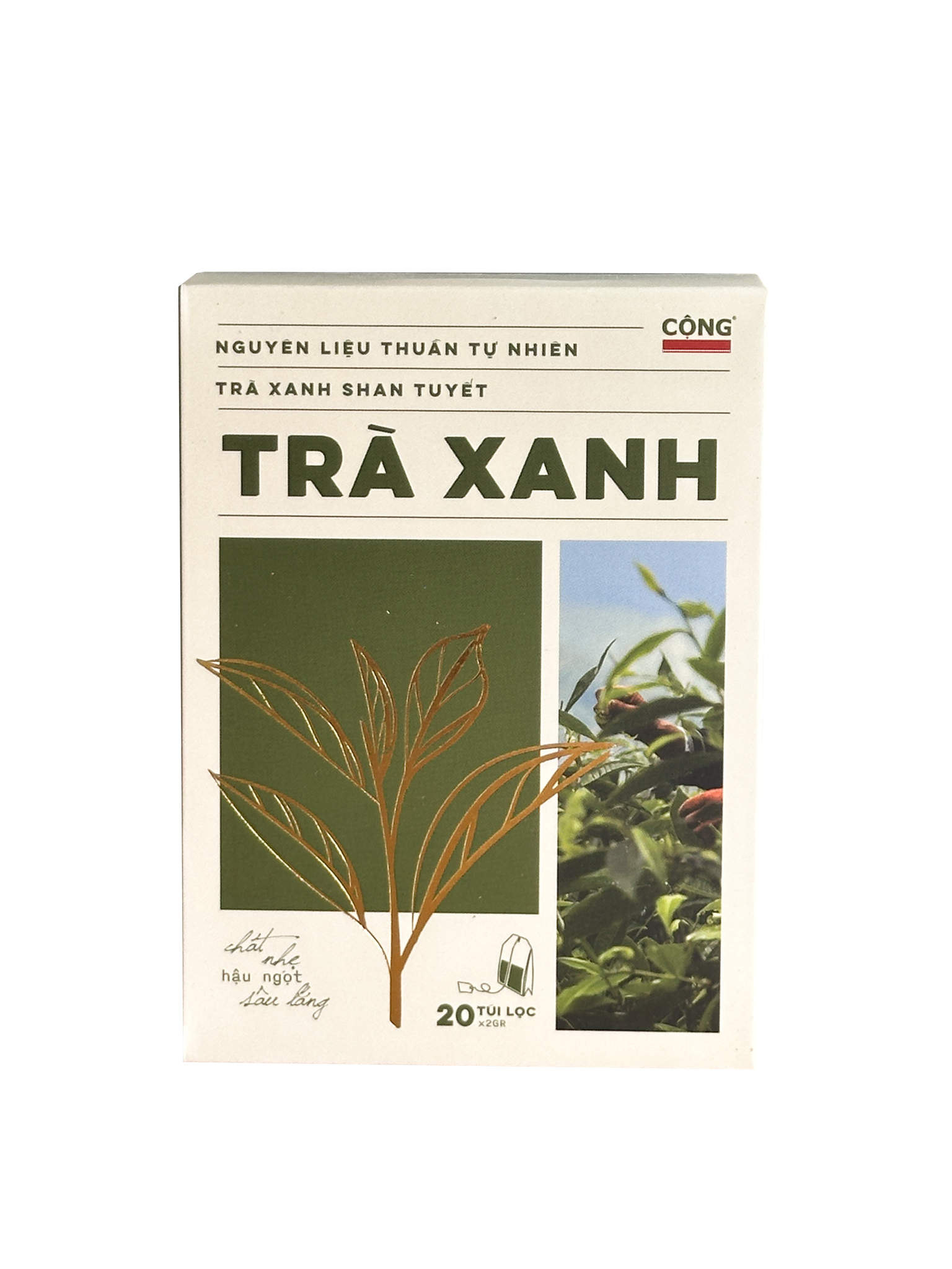  Trà Xanh Túi Lọc 