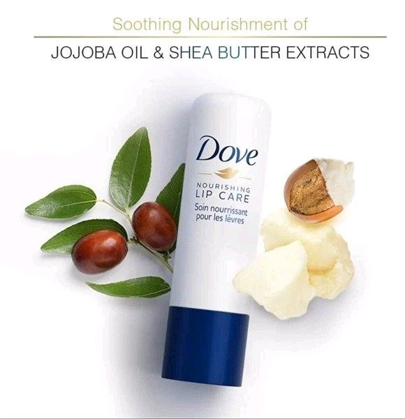  Son dưỡng Dove bơ hạt mỡ 