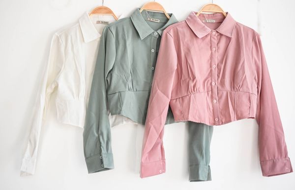  Áo kiểu nữ tay dài 