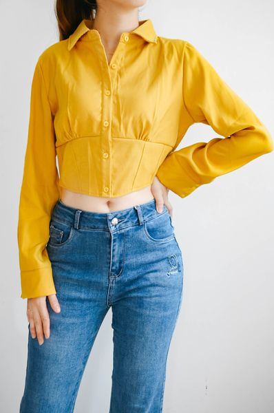  Áo kiểu nữ tay dài 