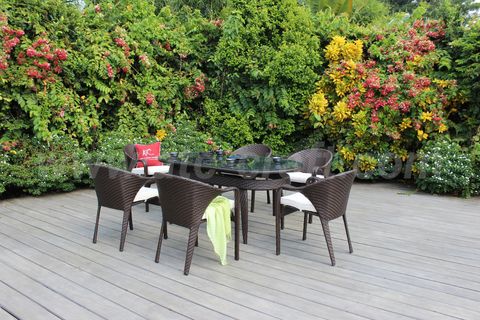 Bộ Bàn Ăn 6 Ghế Hiện Đại RADS-012