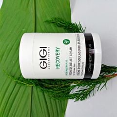 72 - Kem Dưỡng Phục Hồi Và Làm Dịu Da Gigi Recovery Cream
