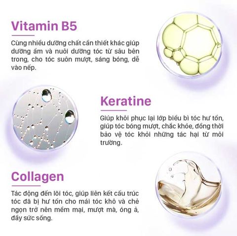  Hấp Dầu Phục Hồi Tóc – Collagen, Keratin Lavox 