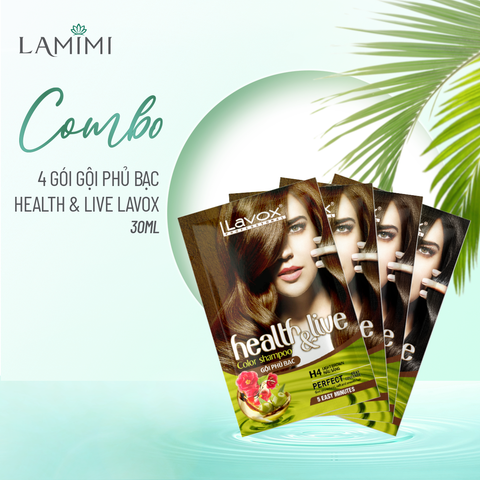  Combo 4 Gói Gội phủ bạc Health & Live Lavox 30ml Bất Kỳ 