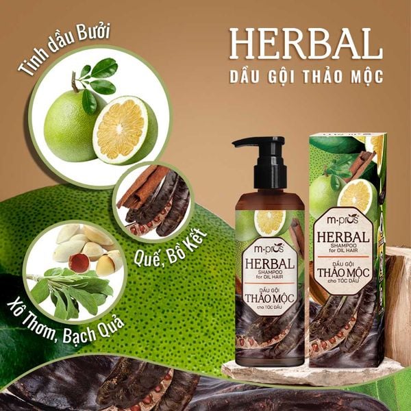  Dầu Gội Thảo Mộc M.pros - Dành Cho Tóc Dầu 