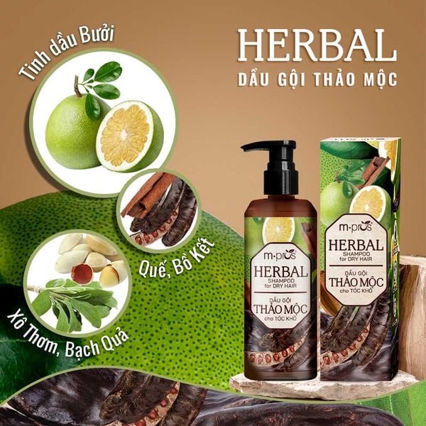  Dầu Gội Thảo Mộc M.pros - Dành Cho Tóc Khô 