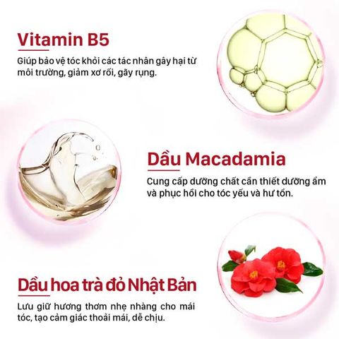  Hấp Dầu Phục Hồi Tóc – Macadamia, Tsubaki Lavox 