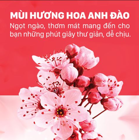  Dầu Gội Giữ Màu Lavox Nanocomplex - Hương Sakura 