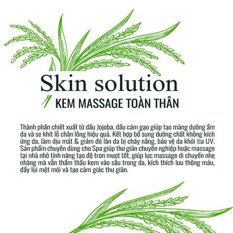  Kem Massage Toàn Thân Lavox 