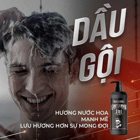  Dầu Gội – Xả – Tắm 3 in 1 Lavox Gentleman 