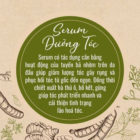  Serum Dưỡng Tóc Thảo Mộc Thuần Việt Wazzi 