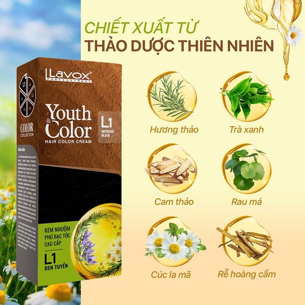  Kem Nhuộm Cao Cấp Lavox Youth & Color 