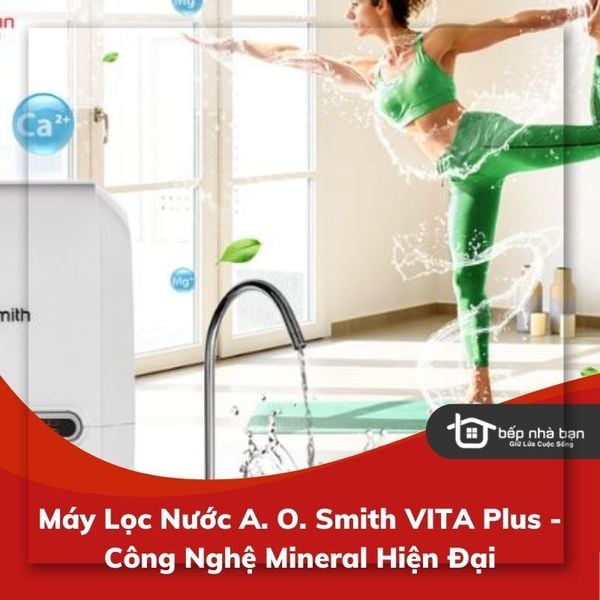 Máy Lọc Nước A. O. Smith VITA Plus