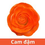 SƠN XỊT MÀU CHO HOA TƯƠI - PKK0045