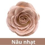 SƠN XỊT MÀU CHO HOA TƯƠI - PKK0045