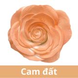 SƠN XỊT MÀU CHO HOA TƯƠI - PKK0045
