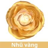 SƠN XỊT MÀU CHO HOA TƯƠI - PKK0045
