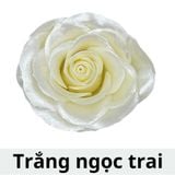 SƠN XỊT MÀU CHO HOA TƯƠI - PKK0045