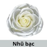 SƠN XỊT MÀU CHO HOA TƯƠI - PKK0045